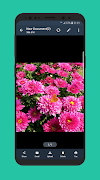 Mini Scanner -PDF Scanner App ภาพหน้าจอ 5