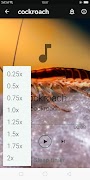 cockroach screenshot 1