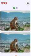 Find Difference: Nepal capture d'écran 3