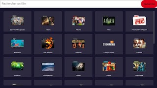 LATVDEFRANCE Screenshot 1