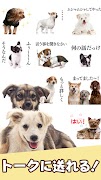 犬スタンプ screenshot 4
