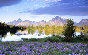 프리 지 그 소 퍼즐 4에서 1 스크린샷 6