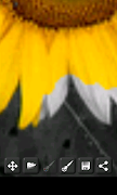 Image Decolorizer screenshot 3