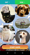 Cat or dog? syot layar 2