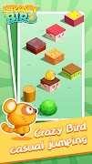 Crazy Bird poster