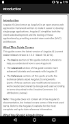 AngularJS Pro Quick Guide Free capture d'écran 1