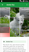 Dogs Puzzle скриншот 1