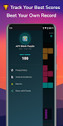 APY Block Puzzle screenshot 2