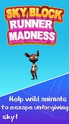 Poster Skyblock Runner Madness