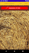 a needle in a haystack 스크린샷 2