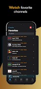 IPTV Streamer 截图 3