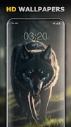 Wolf Wallpaper HD: Backgrounds poster