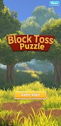 Block Toss Puzzle โปสเตอร์