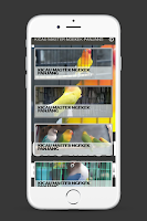 KICAU MASTER NGEKEK PANJANG Screenshot 1