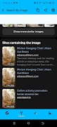 pesquisa reversa de imagens imagem de tela 2