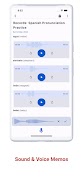 Voice Notes & Voice Memo + screenshot 3
