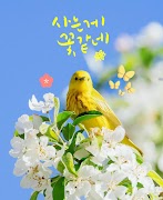 감성공장 - 봄 캘리&글씨 감성 카드 만들기 ảnh chụp màn hình 1