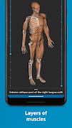 Humanatomy تصوير الشاشة 4