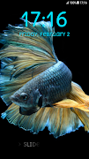 Betta Fish Pattern Lock Screen screenshot 4