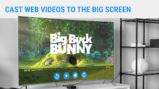 Web Video Caster Receiver imagem de tela 5