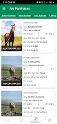 HarnessHorseAuction 截图 4