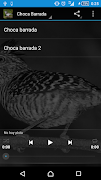 Choca Barrada poster