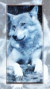 برنامه‌نما Wolf wallpapers عکس از صفحه