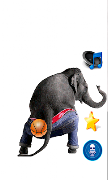 Dancing Talking Elephant syot layar 3