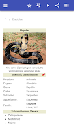 Snakes اسکرین شاٹ 1