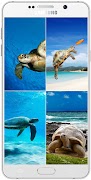 Turtle Wallpaper HD capture d'écran 1