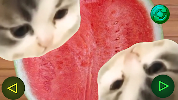 Happy Cat Game screenshot 7