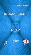 Blocky Flight Cartaz