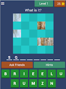 Make A Guess screenshot 6