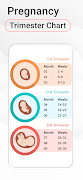Pregnancy Calculator: Due Date ảnh chụp màn hình 3