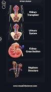 Urinary System Pro. スクリーンショット 1