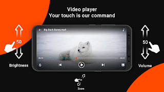 Video Player syot layar 6