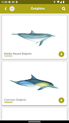 Wales Coast Explorer 截图 3