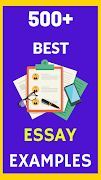 Essay Examples: How to Write a poster