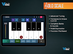 Solo Scale Controller Screenshot 7