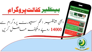 Benazir Income Support 截图 4