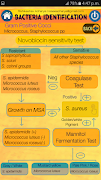 برنامهنما Bacteria Identification Made E عکس از صفحه