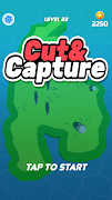 CutAndCapture 海报