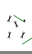 Ziellinie Screenshot 4