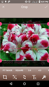 Vintage Photo Editor screenshot 2