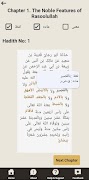 Pedagogic Hadith Ebook 截图 5