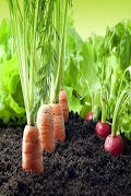 Agriculture poster