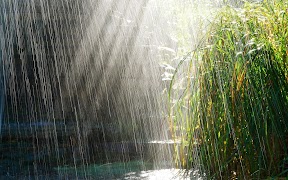 Rain Sounds screenshot 4
