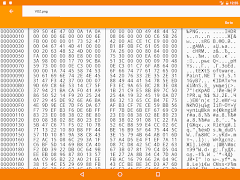 Binary viewer ảnh chụp màn hình 4