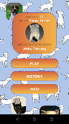 Cat or dog? screenshot 1