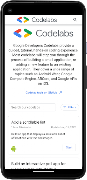 Codelabs: Build anything スクリーンショット 1